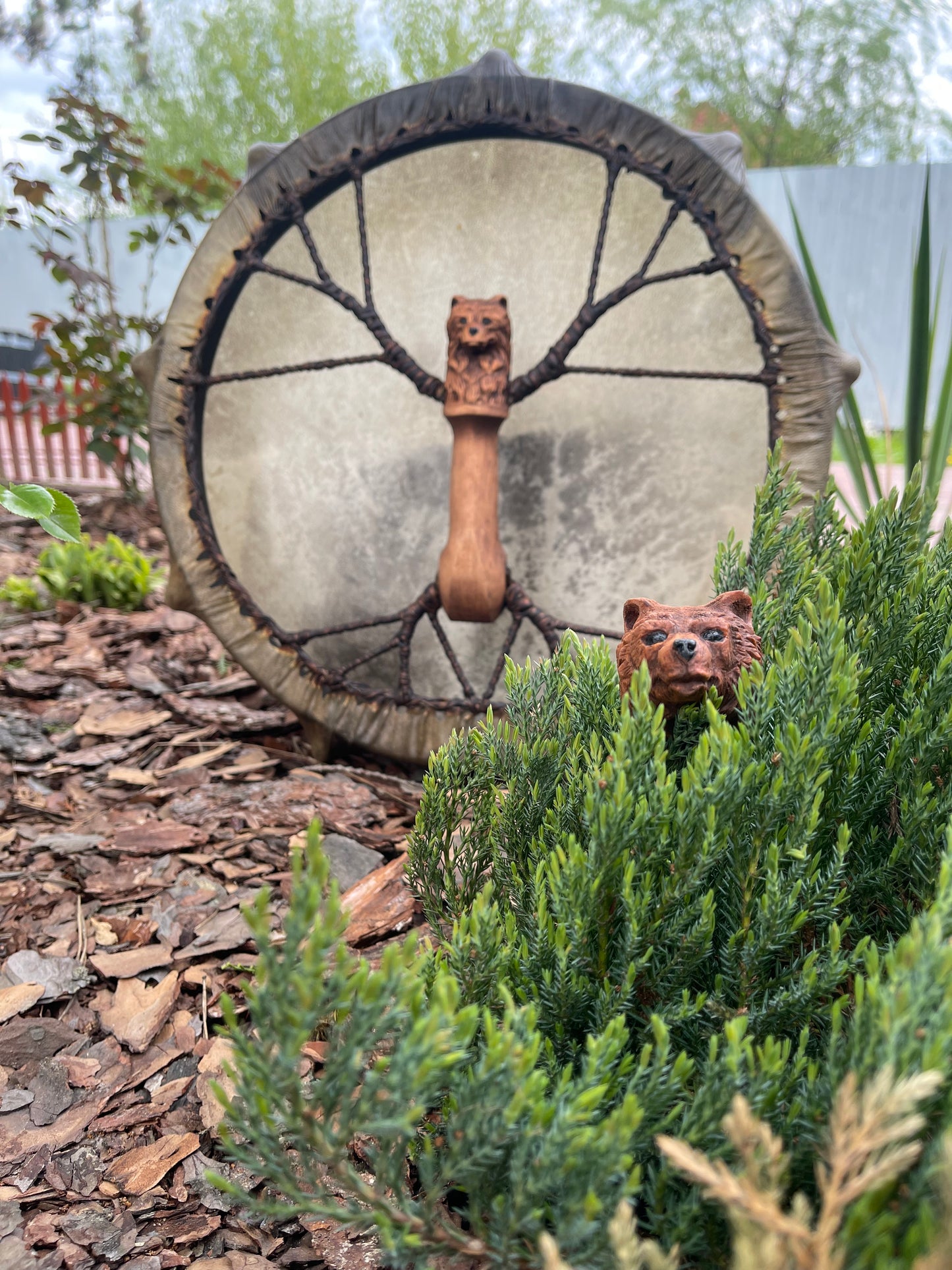 Shaman drum the Bear 16 inches