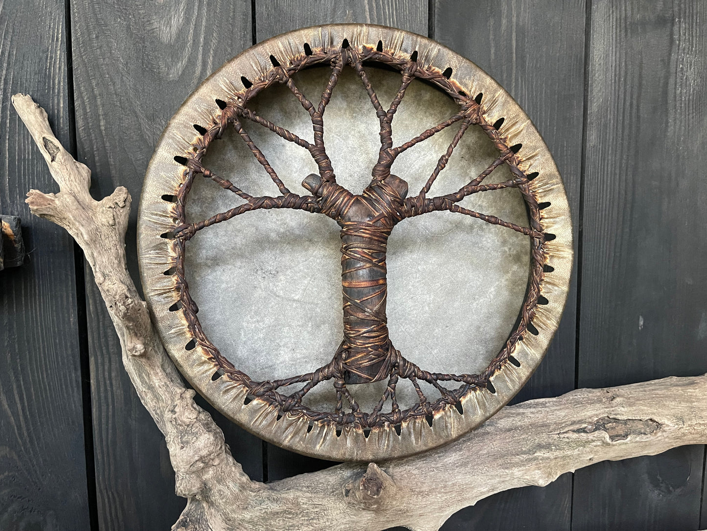 Shaman drum Tree of Life 12'