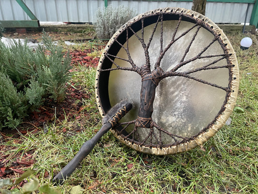 Shaman drum Tree of Life 16’