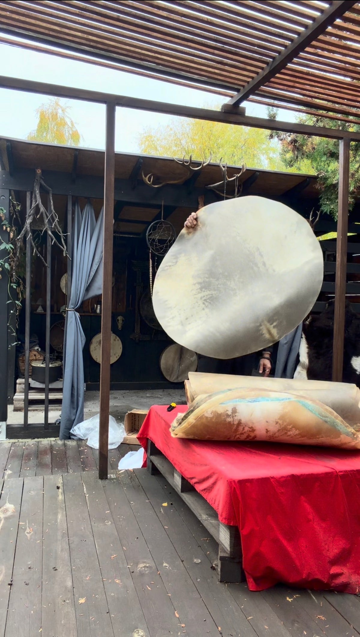 Goat Skin for Drum Making — 36" (91 cm), Hand-Selected