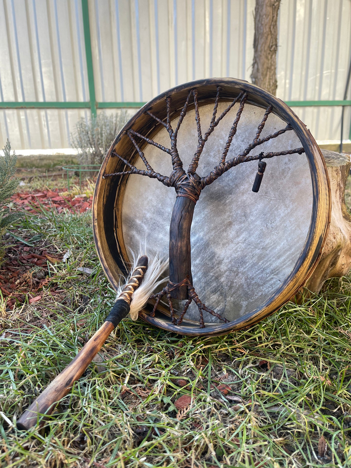 Shaman drum Tree of Life 12'