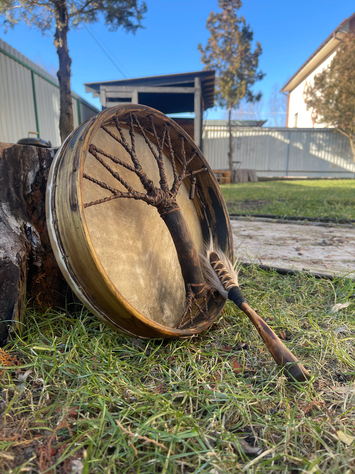 Shamanic Drum 'Tree of Life' — 12" Round