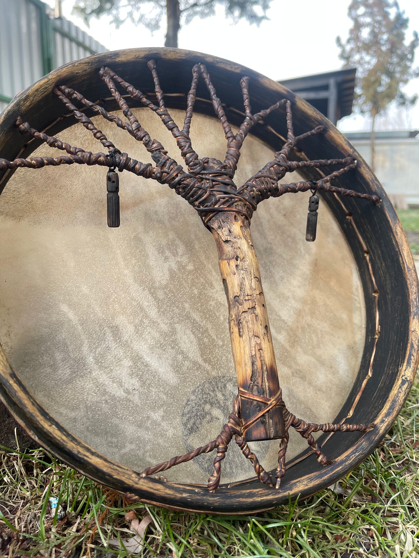 Shaman drum Tree of Life 12'