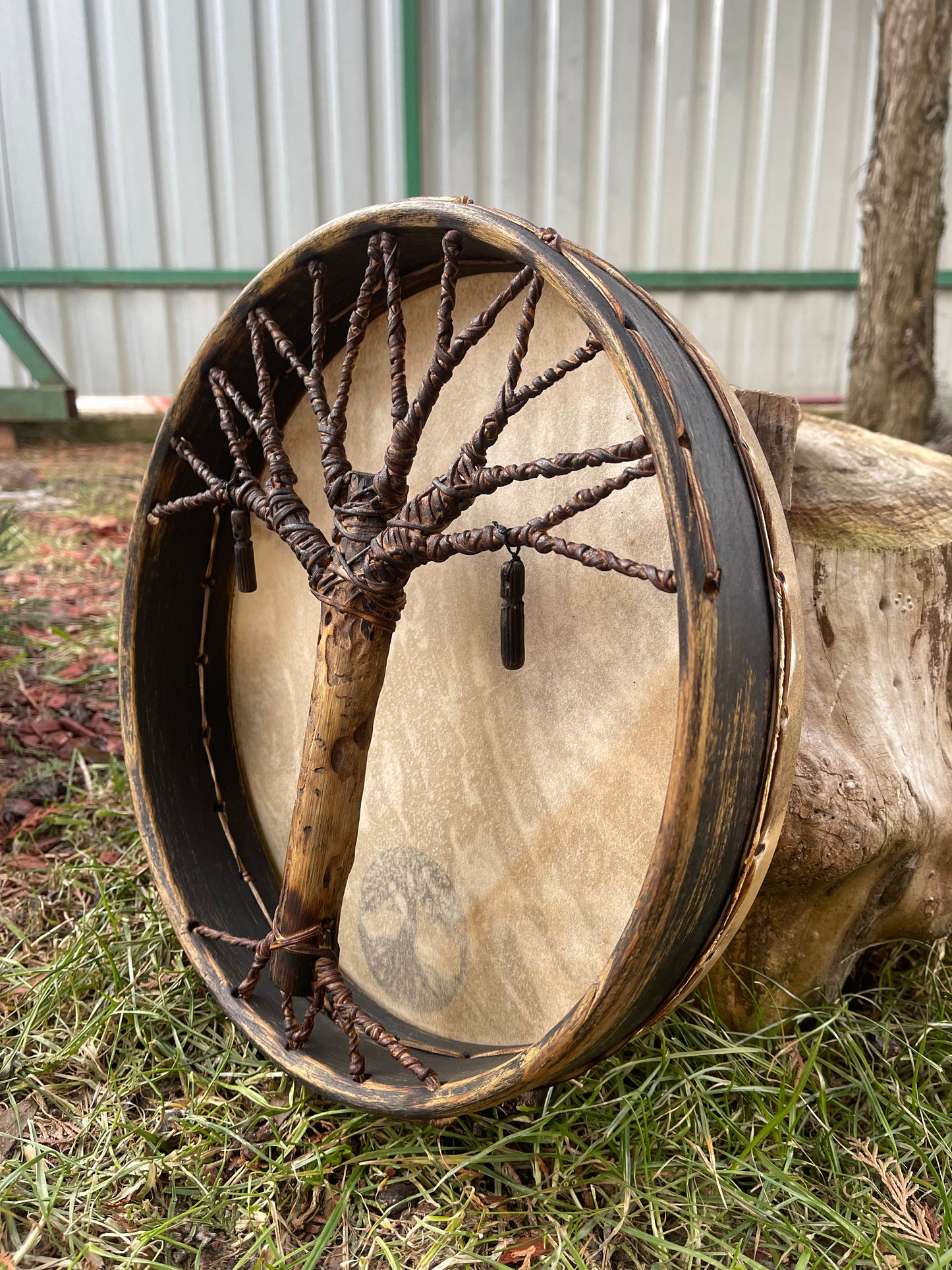 Shaman drum Tree of Life 12'