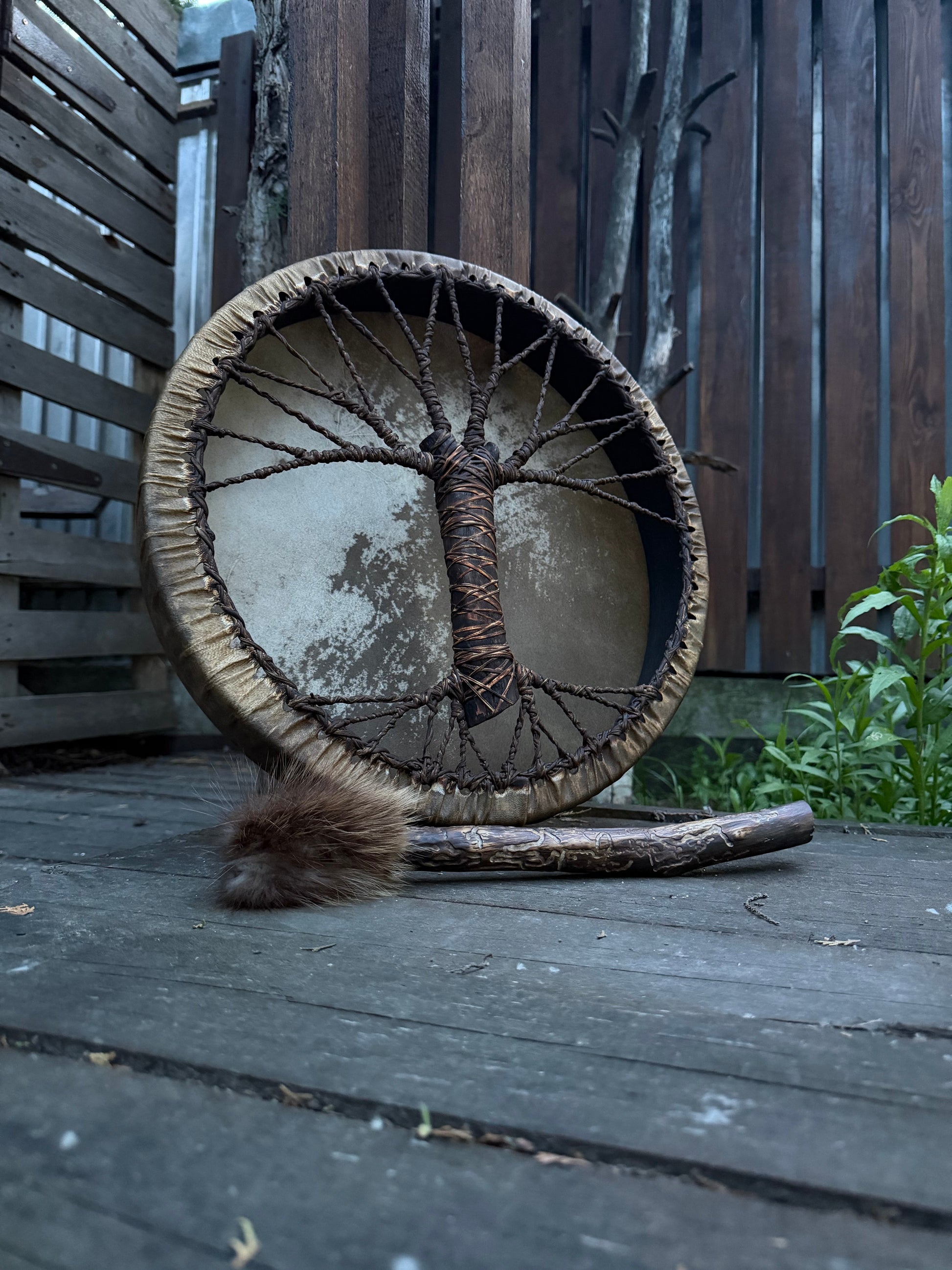 Tree of Life shamanic drum, view
