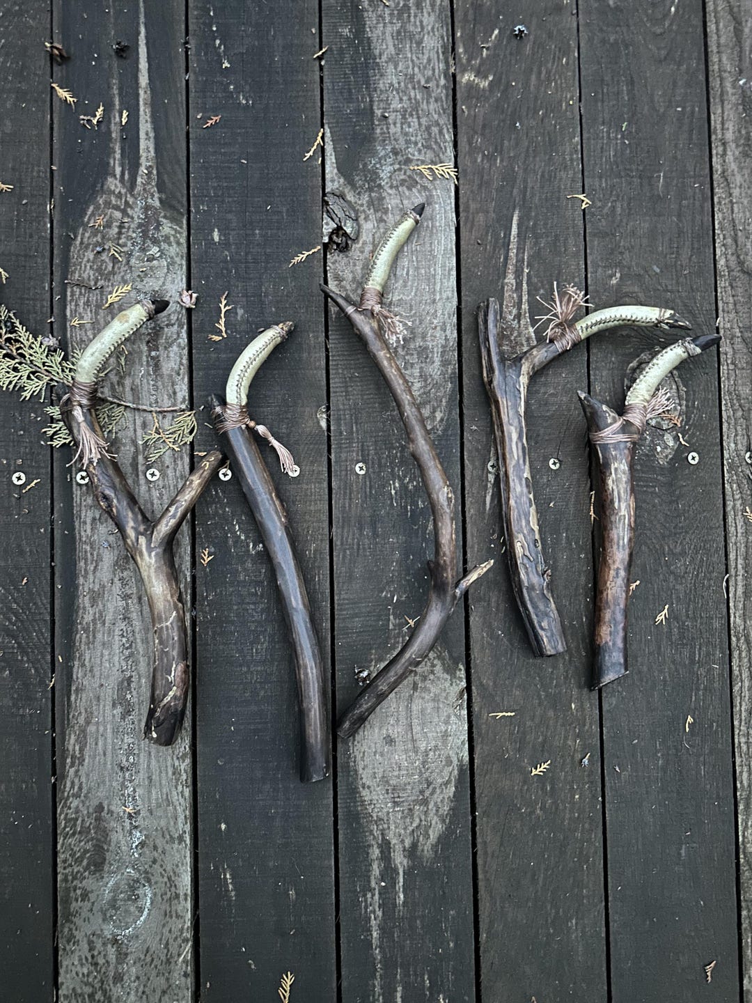 Shaman's finger rattles seen from above, pale leather chambers against dark wood