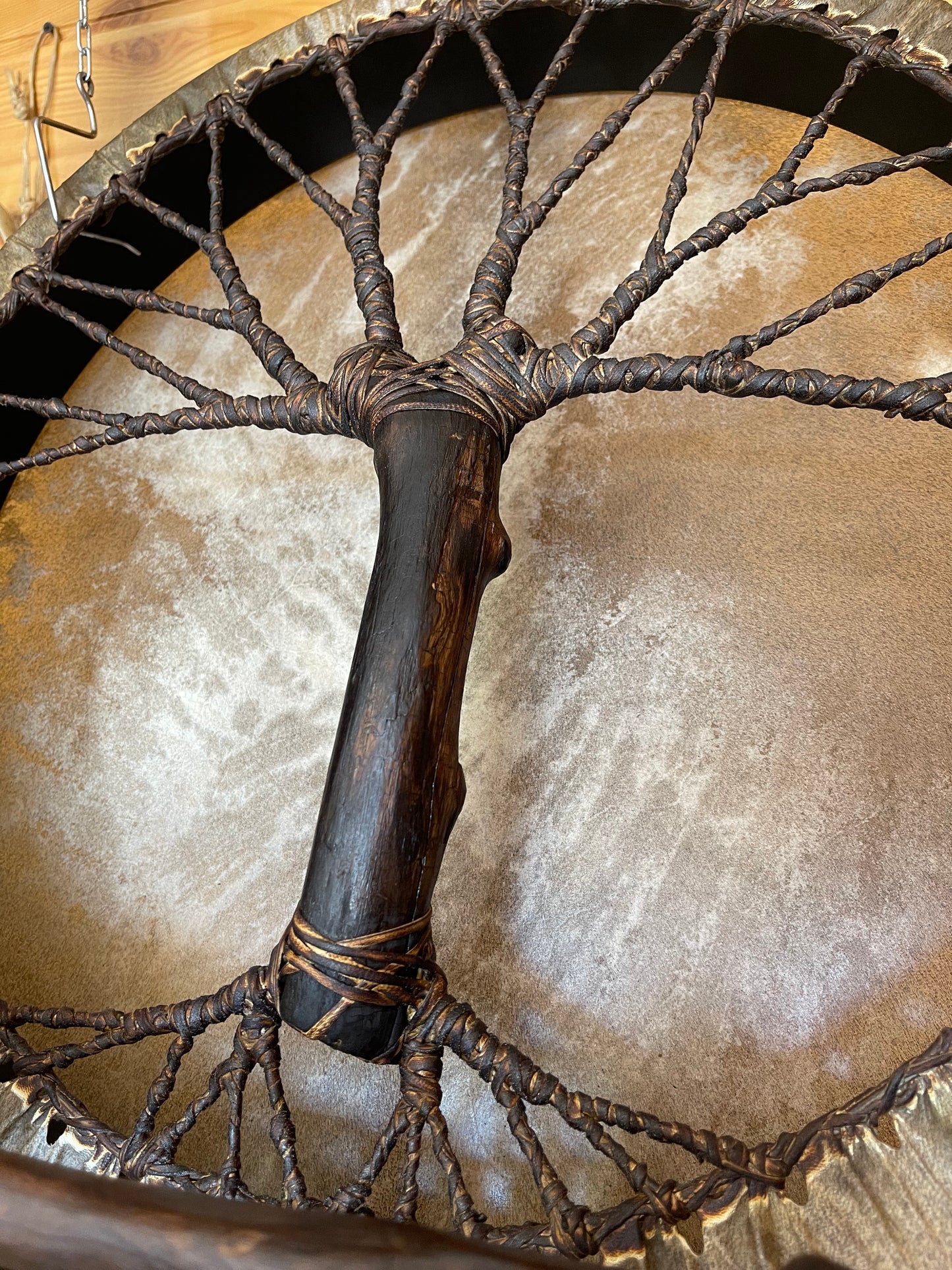Shaman drum Tree of Life 20'