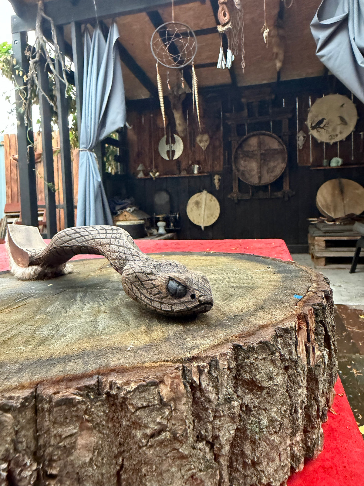 Carved snake head with black eye, alder wood